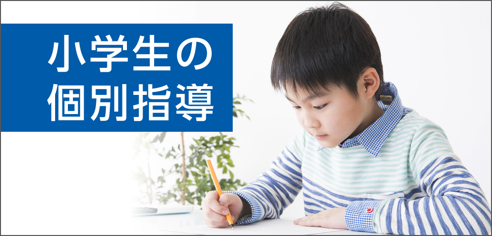 小学生の個別指導